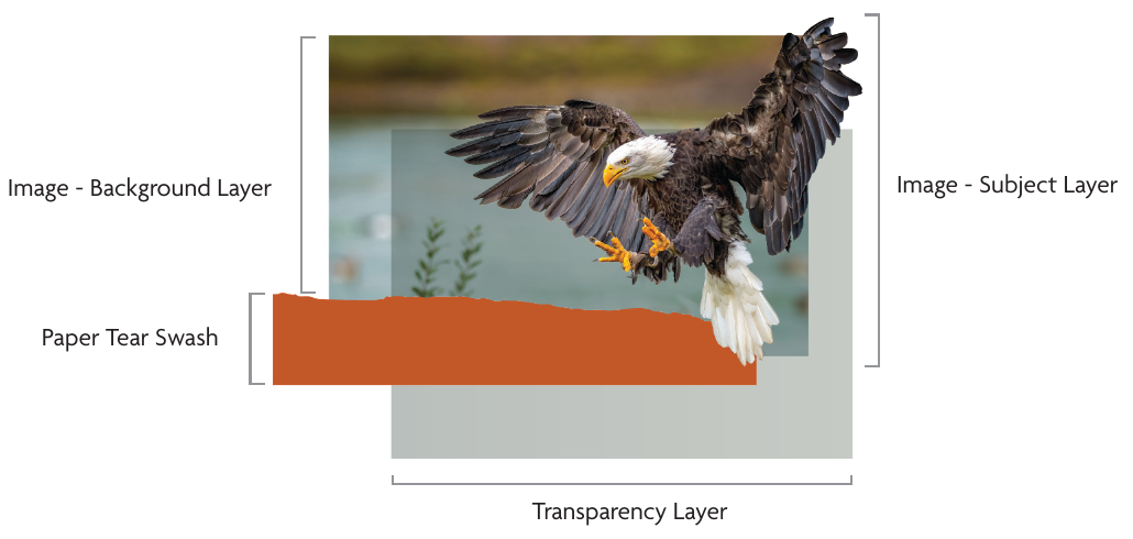 Layer breakdown: background layer, subject layer, paper-tear swash, and transparency layer